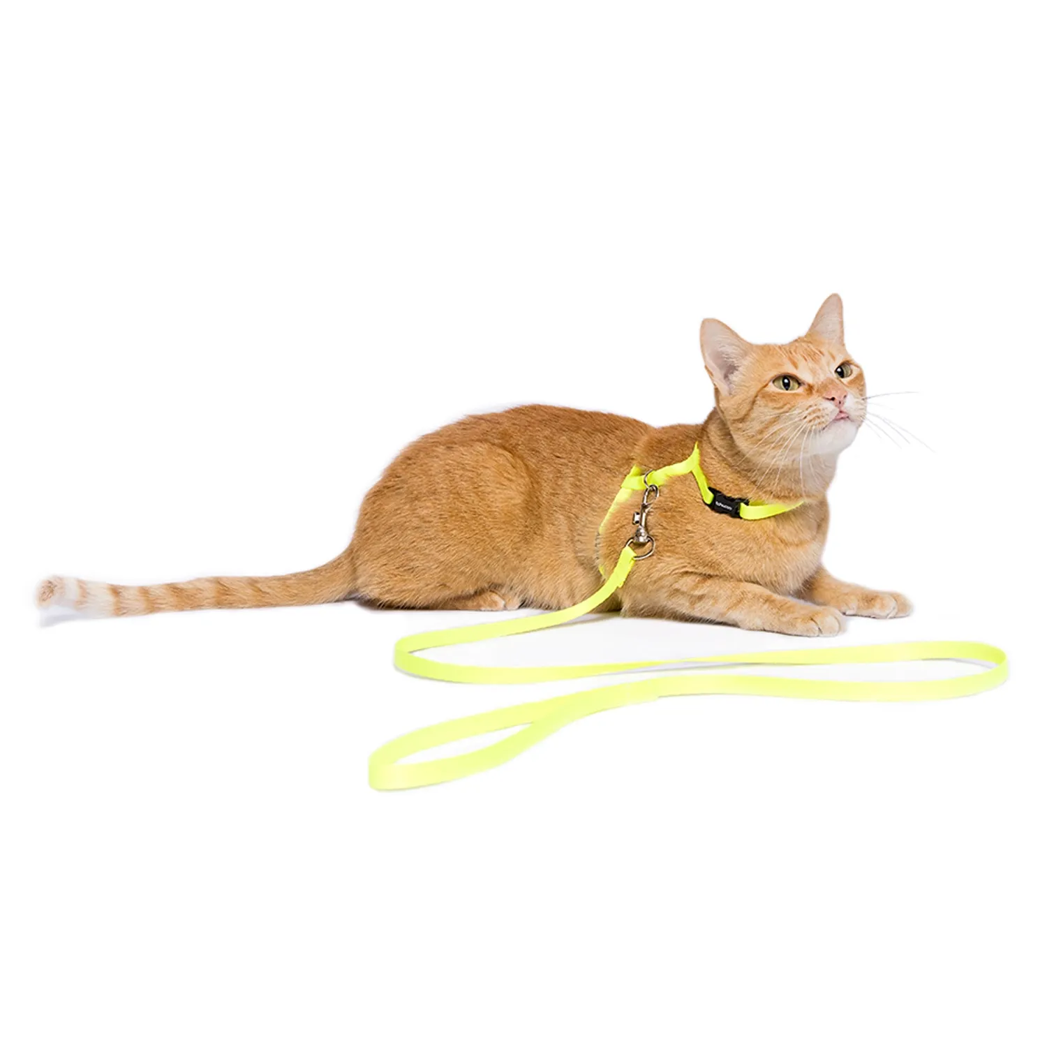 Peitoral H com Guia para Gatos Tchucoo Amarelo